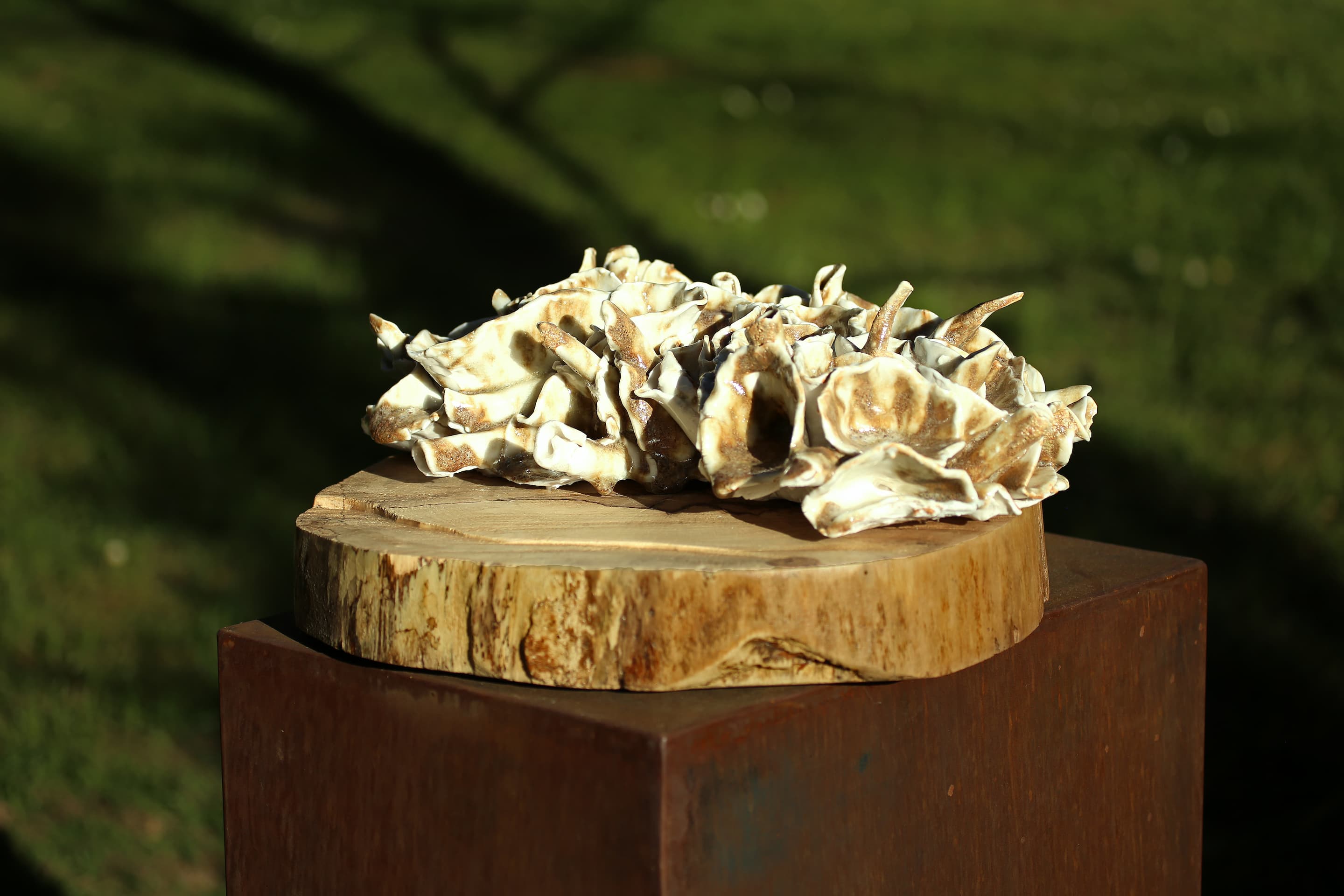 Annette Pleimelding_Skulptura2026_04